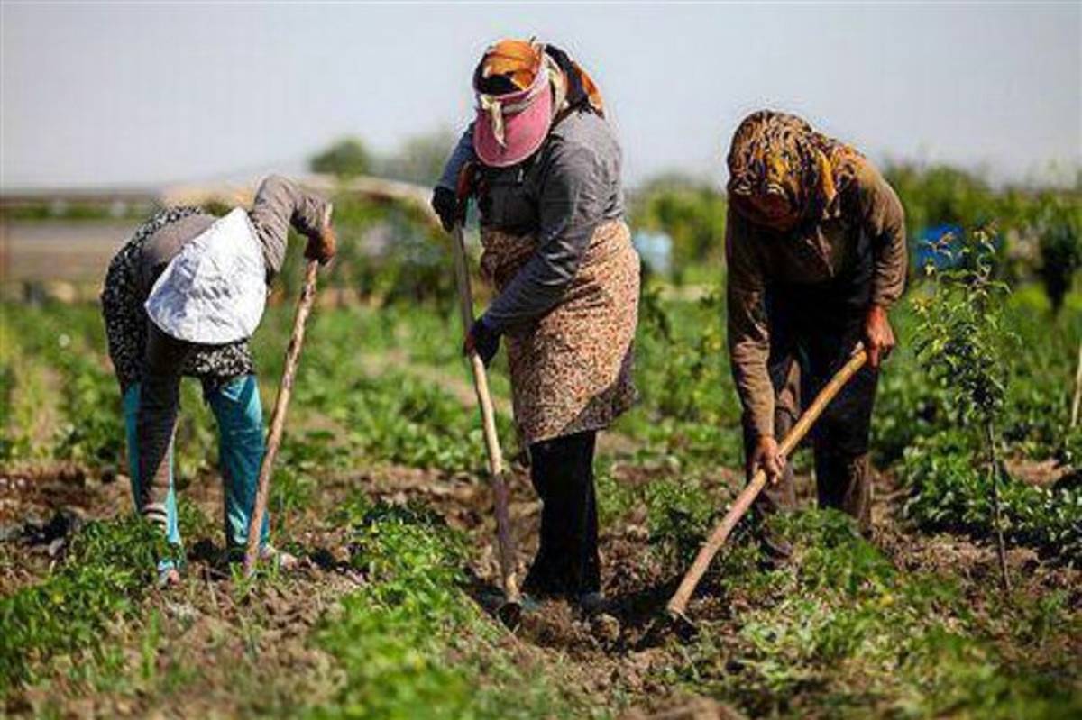 در ایران بسیاری از مفاد قوانین توسعه‌ای بدون اجرا باقی مانده است