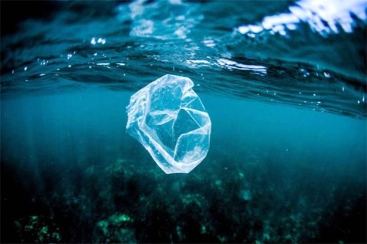 فاجعه پلاستیکی در اقیانوس‌ها+اینفوگرافیک