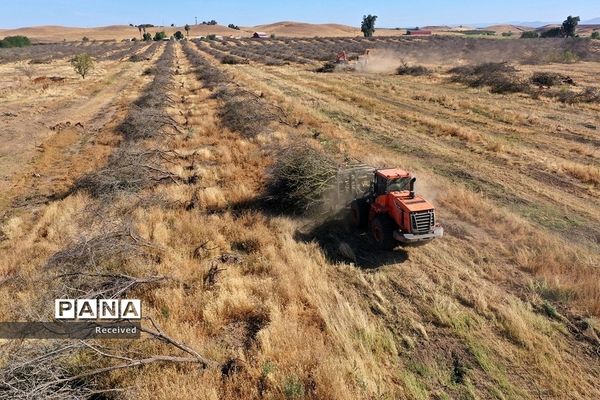 فاجعه خشکسالی در کالیفرنیا