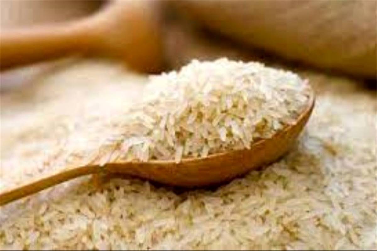 روند افزایش قیمت برنج در یک سال اخیر به روایت اینفوگرافیک