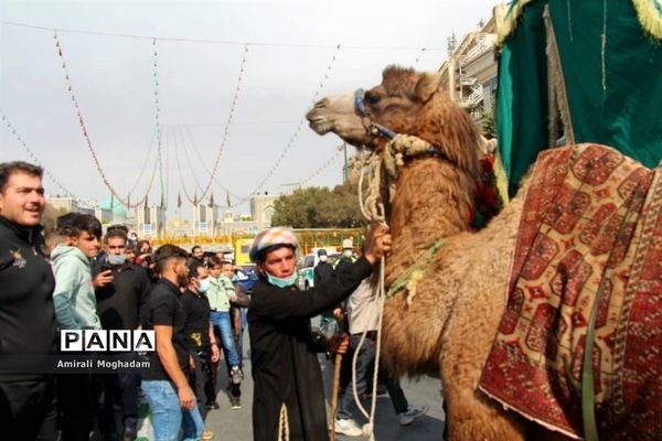 راهپیمایی عزاداران  امام رضا علیه السلام به سمت بارگاه مطهر رضوی