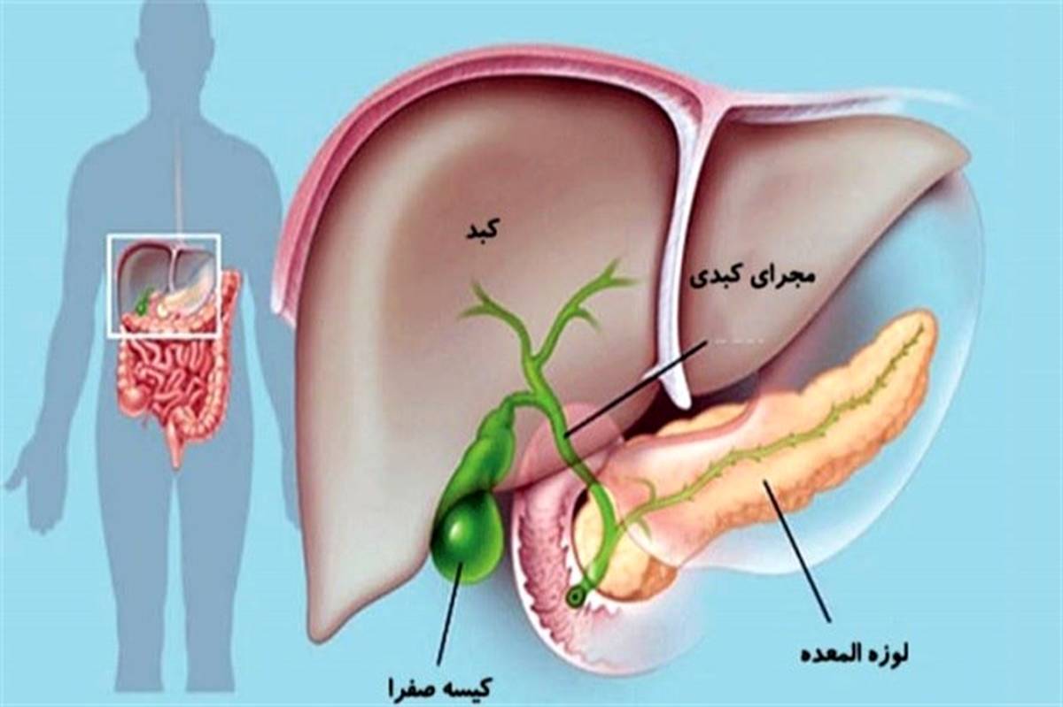 برای سلامت صفرا چه‌ کنیم؟