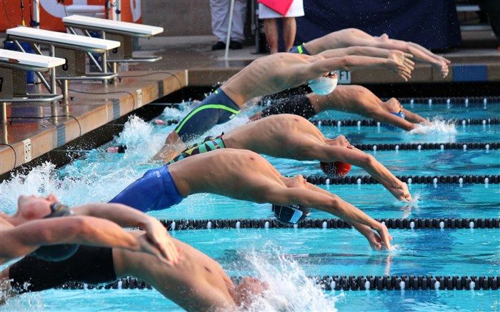 شنا قهرمانی جهان؛ چهار ایرانی فینالیست شدند