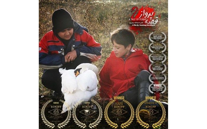 فیلم سینمایی قصه پرواز در برزیل برنده دو جایزه شد
