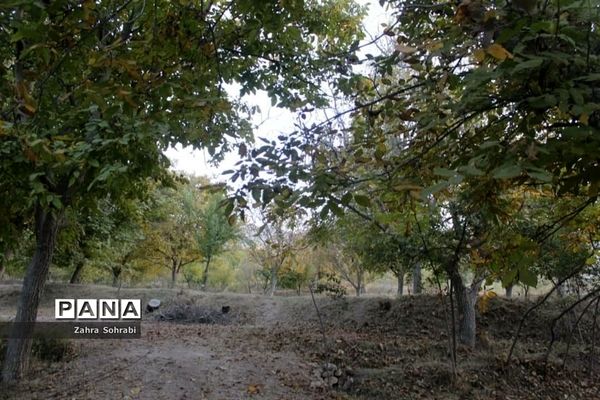 طبیعت پاییزی روستای کهک شهرستان غرق‌آباد