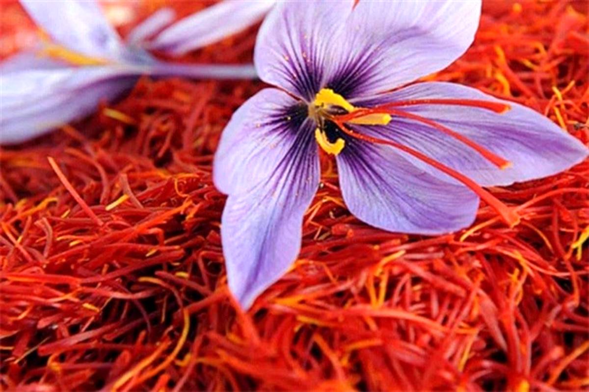 آیا مصرف زعفران عوارض دارد؟
