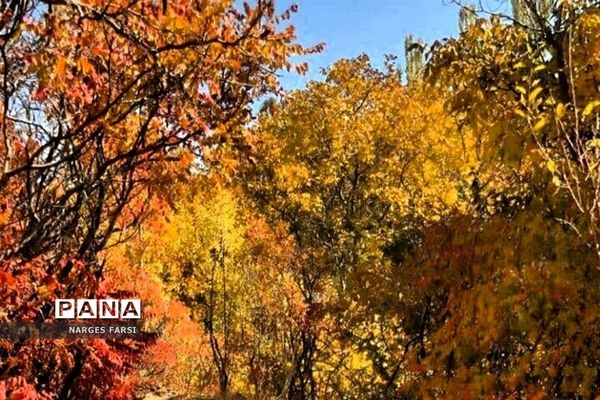 طبیعت پاییزی در روستاهای الگان و کهندان