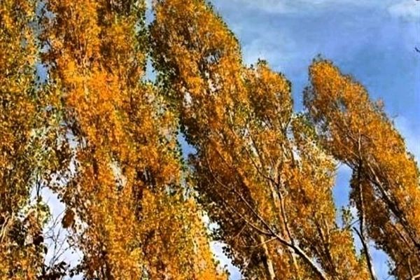 طبیعت پاییزی در روستاهای الگان و کهندان