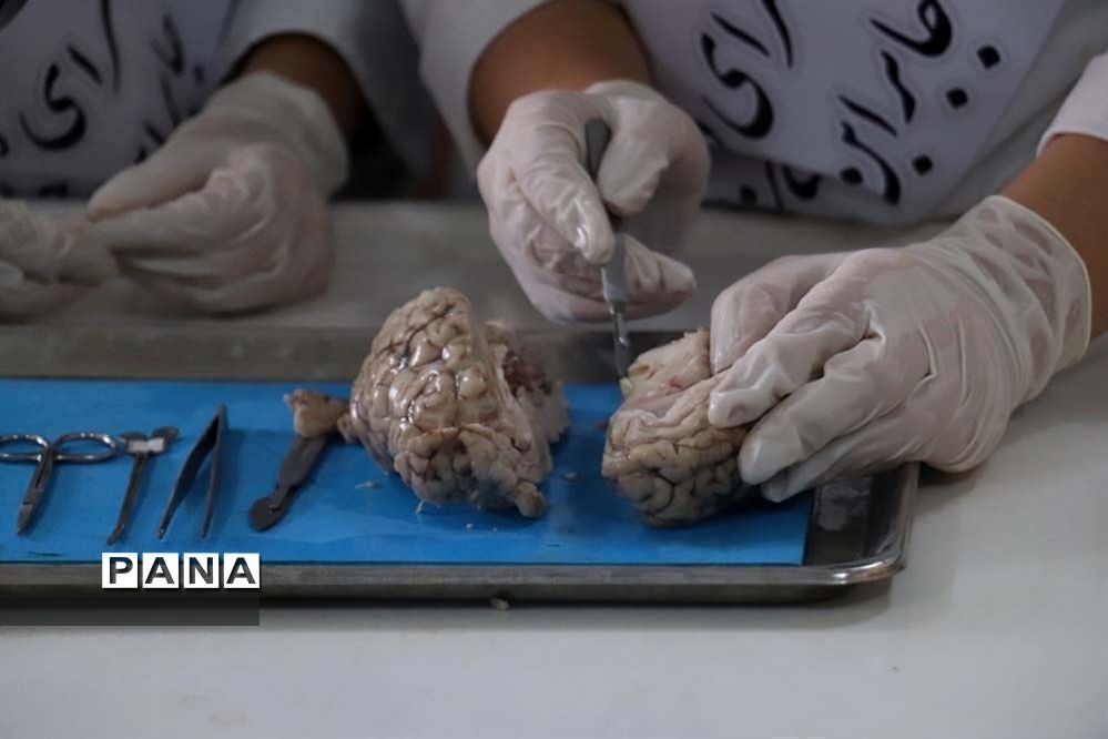 نکوداشت روز آزمایشگاه در پژوهش سرای جابر ابن حیان استان آذربایجان شرقی