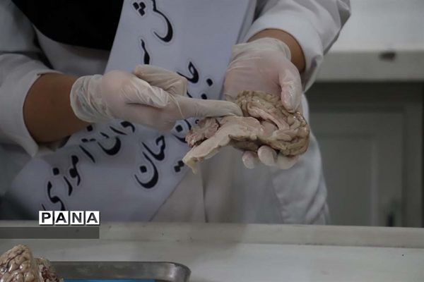 نکوداشت روز آزمایشگاه در پژوهش سرای جابر ابن حیان استان آذربایجان شرقی