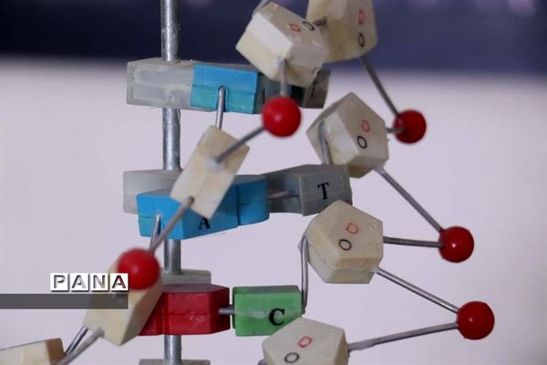 نکوداشت روز آزمایشگاه در پژوهش سرای جابر ابن حیان استان آذربایجان شرقی