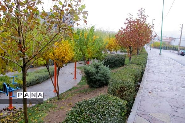 هوای بارانی  پاییز در پردیس