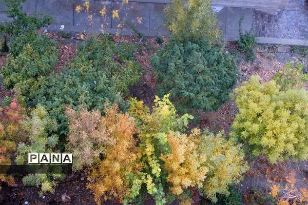 هوای بارانی  پاییز در پردیس