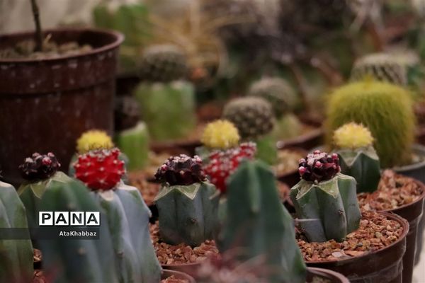 نمایشگاه علم و فناوری رینوتکس