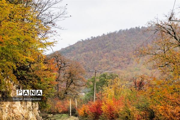 طبیعت پاییزی دودانگه ساری