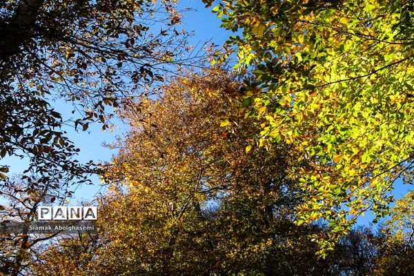 طبیعت پاییزی دودانگه ساری