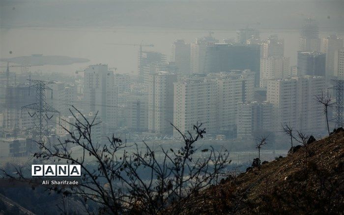 ۱۶ ایستگاه تهران در وضعیت قرمز آلودگی هوا؛ گروه‌های حساس در شهر تردد نکنند