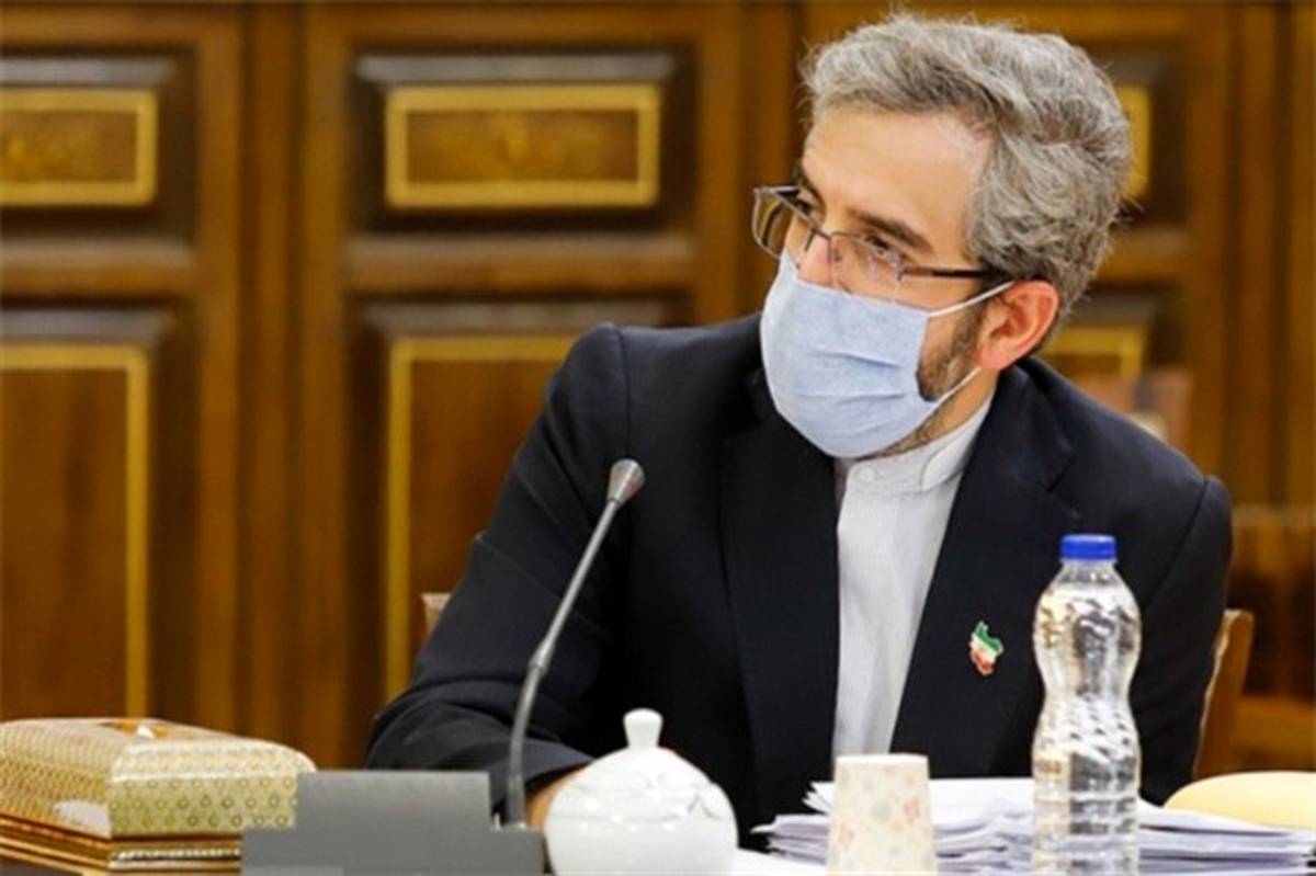 رئیس‌ هیات مذاکره کننده ایران وارد وین شد