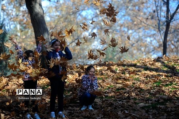 طبیعت پاییزی بوستان ملت