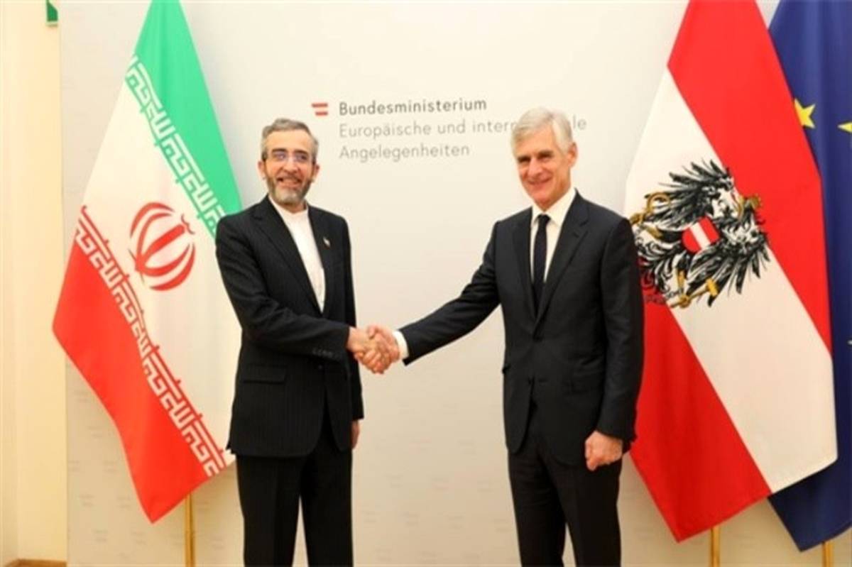 علی باقری با وزیر خارجه اتریش دیدار کرد