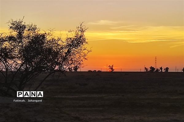 طبیعت زیبا و پرورش زنبور عسل در روستای حبابه شهرستان امیدیه