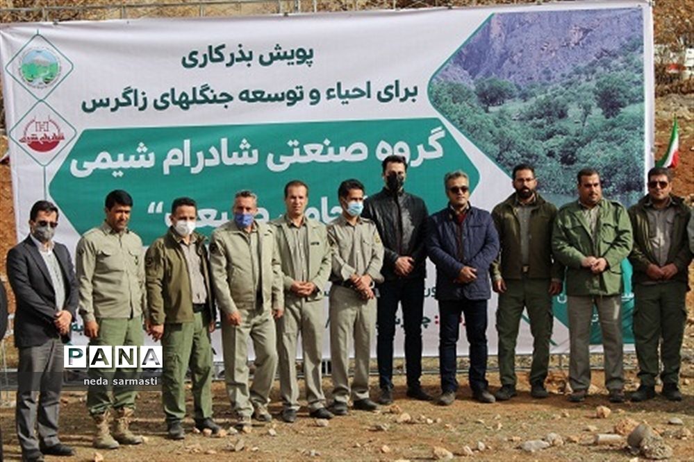 پویش بذرکاری برای احیا و توسعه جنگل‌های زاگرس کرمانشاه