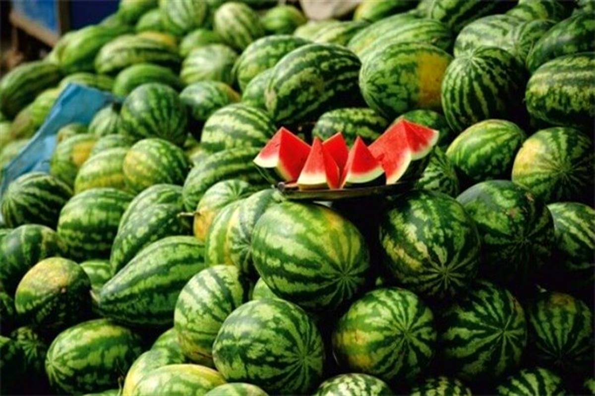 عرضه ۱۶۶ هزار تن هندوانه برای  بازار شب یلدا