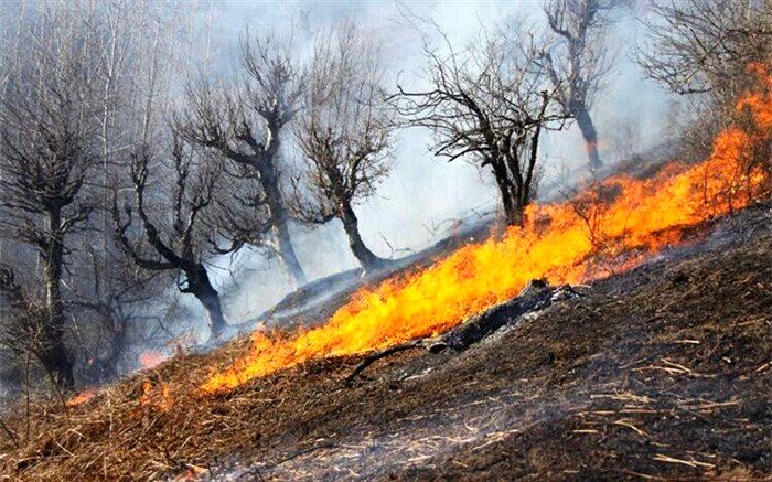 آخرین وضعیت آتش‌سوزی در پارک ملی گلستان