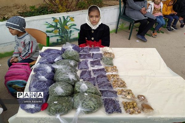 برنامه بوم دبستان نرجس خاتون رستاق از بخش‌های شهرستان داراب