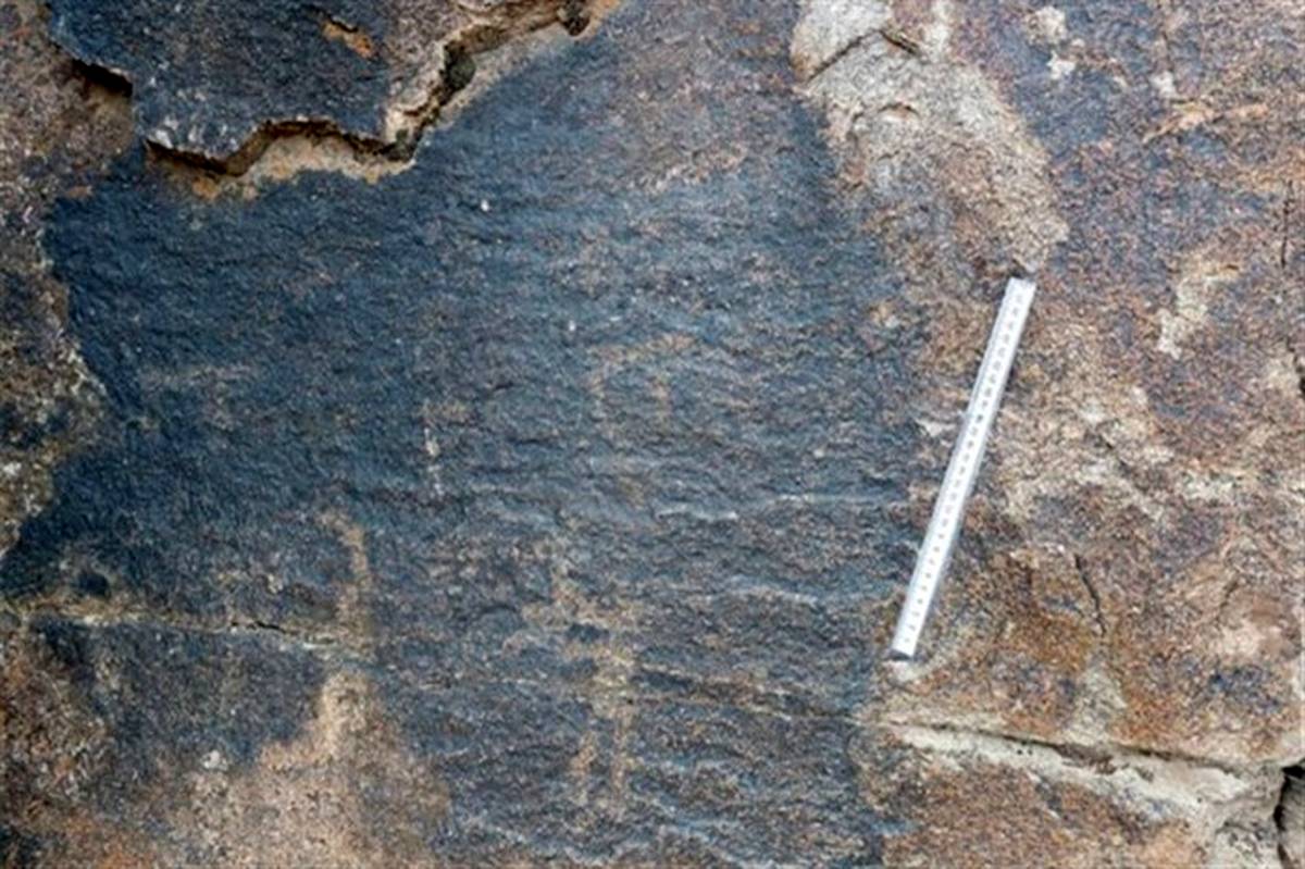 سنگ نگاره‌هایی با قدمت 40 هزار سال شناسایی شد