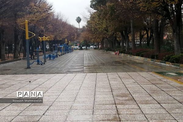 طراوت زمستانی شیراز پس از بارش نخستین باران فصلی