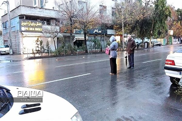 طراوت زمستانی شیراز پس از بارش نخستین باران فصلی