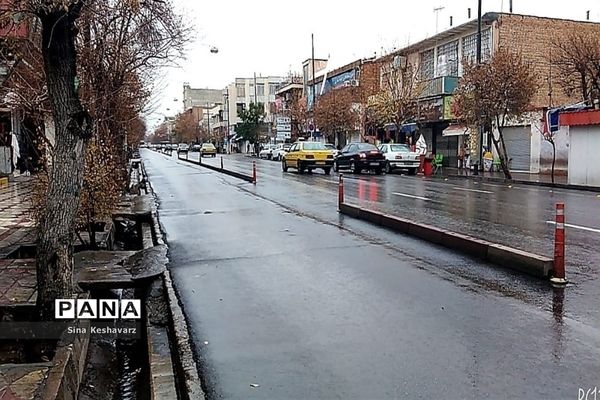 طراوت زمستانی شیراز پس از بارش نخستین باران فصلی