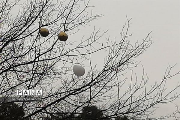 طراوت زمستانی شیراز پس از بارش نخستین باران فصلی
