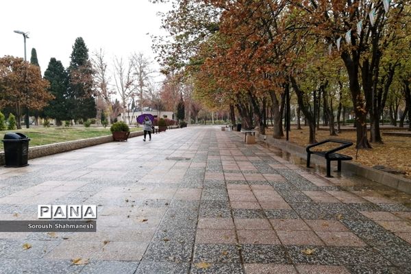 طراوت زمستانی شیراز پس از بارش نخستین باران فصلی