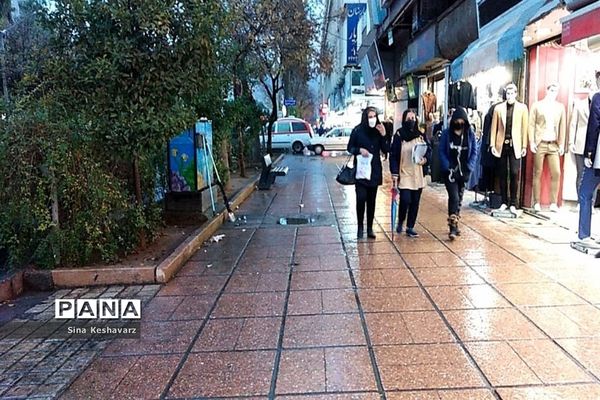طراوت زمستانی شیراز پس از بارش نخستین باران فصلی