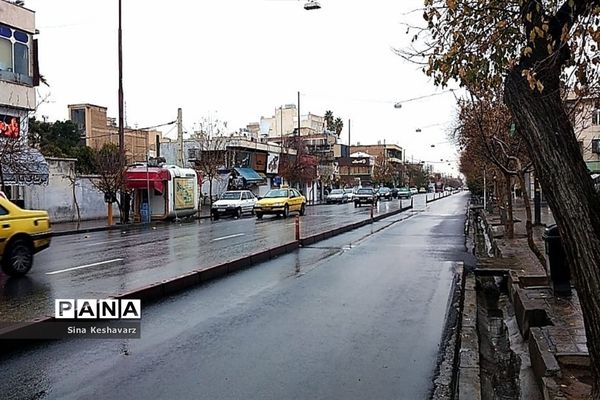 طراوت زمستانی شیراز پس از بارش نخستین باران فصلی
