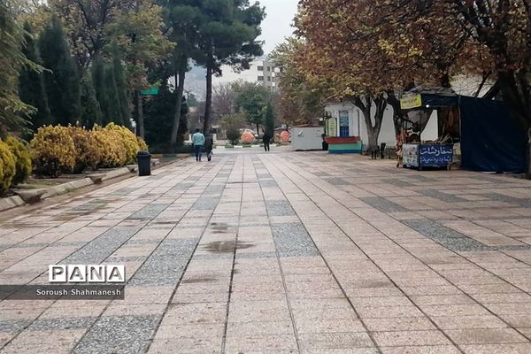 طراوت زمستانی شیراز پس از بارش نخستین باران فصلی