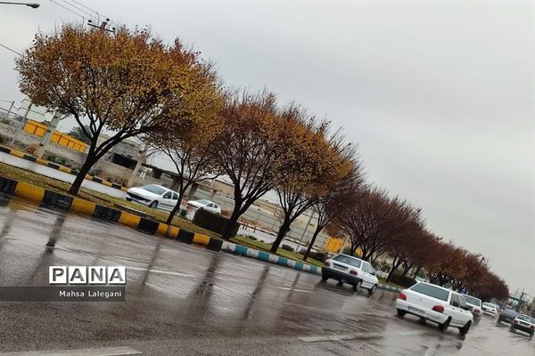 طراوت زمستانی شیراز پس از بارش نخستین باران فصلی