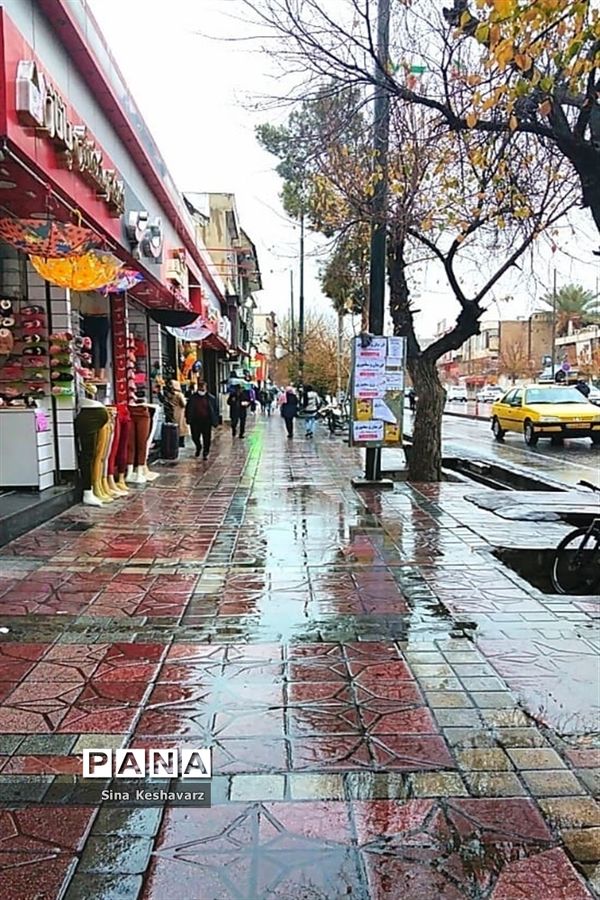 طراوت زمستانی شیراز پس از بارش نخستین باران فصلی