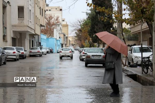 طراوت زمستانی شیراز پس از بارش نخستین باران فصلی