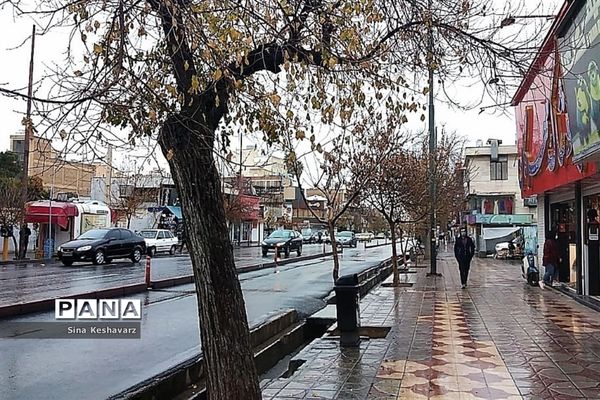 طراوت زمستانی شیراز پس از بارش نخستین باران فصلی