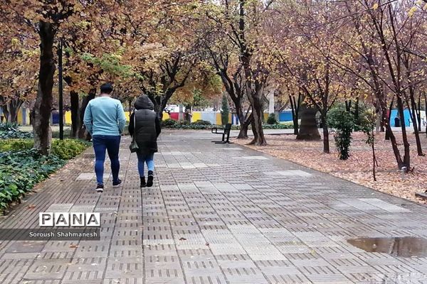 طراوت زمستانی شیراز پس از بارش نخستین باران فصلی
