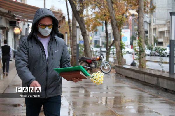 طراوت زمستانی شیراز پس از بارش نخستین باران فصلی