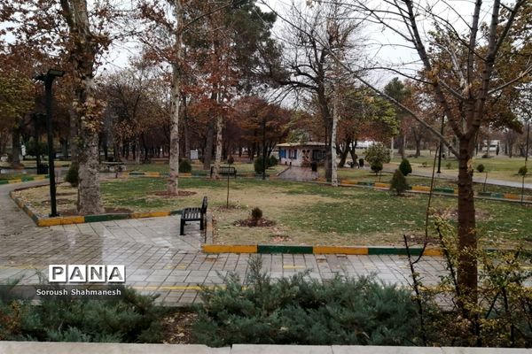 طراوت زمستانی شیراز پس از بارش نخستین باران فصلی