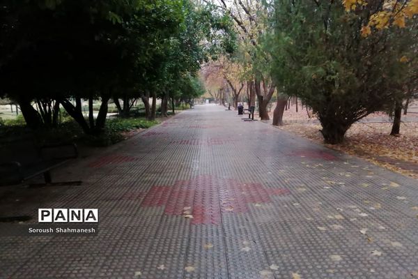 طراوت زمستانی شیراز پس از بارش نخستین باران فصلی