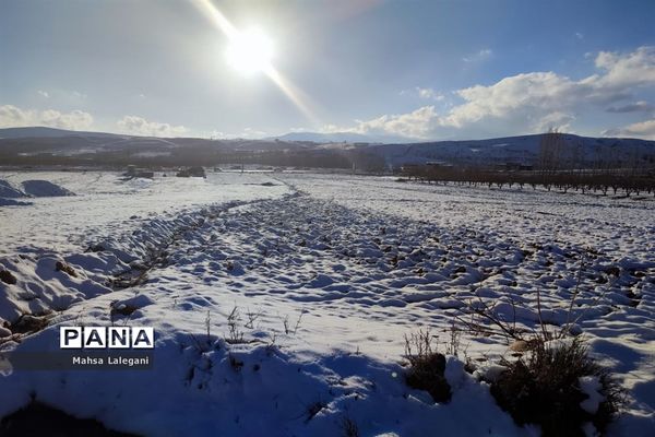 طبیعت برفی هماشهر در سپیدان