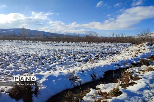 طبیعت برفی هماشهر در سپیدان