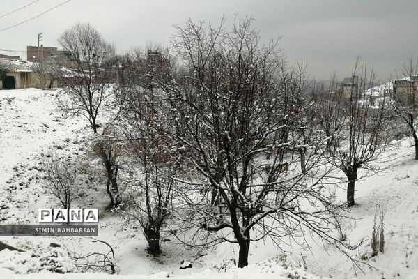 برف، زندگی می‌بارد