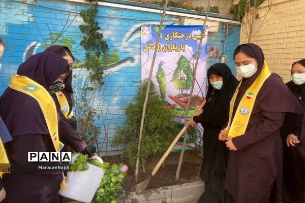 پیشتاز برای ایرانی سرسبز با کاشت نهال